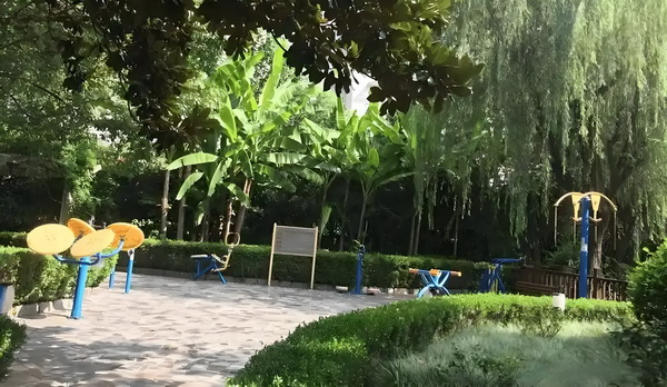 老板请给力